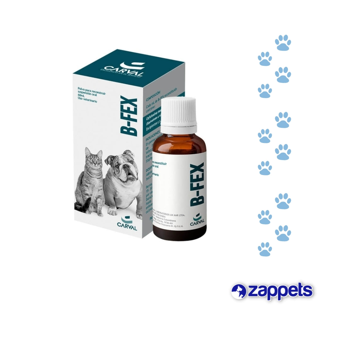B-Fex Suspensión 60ML