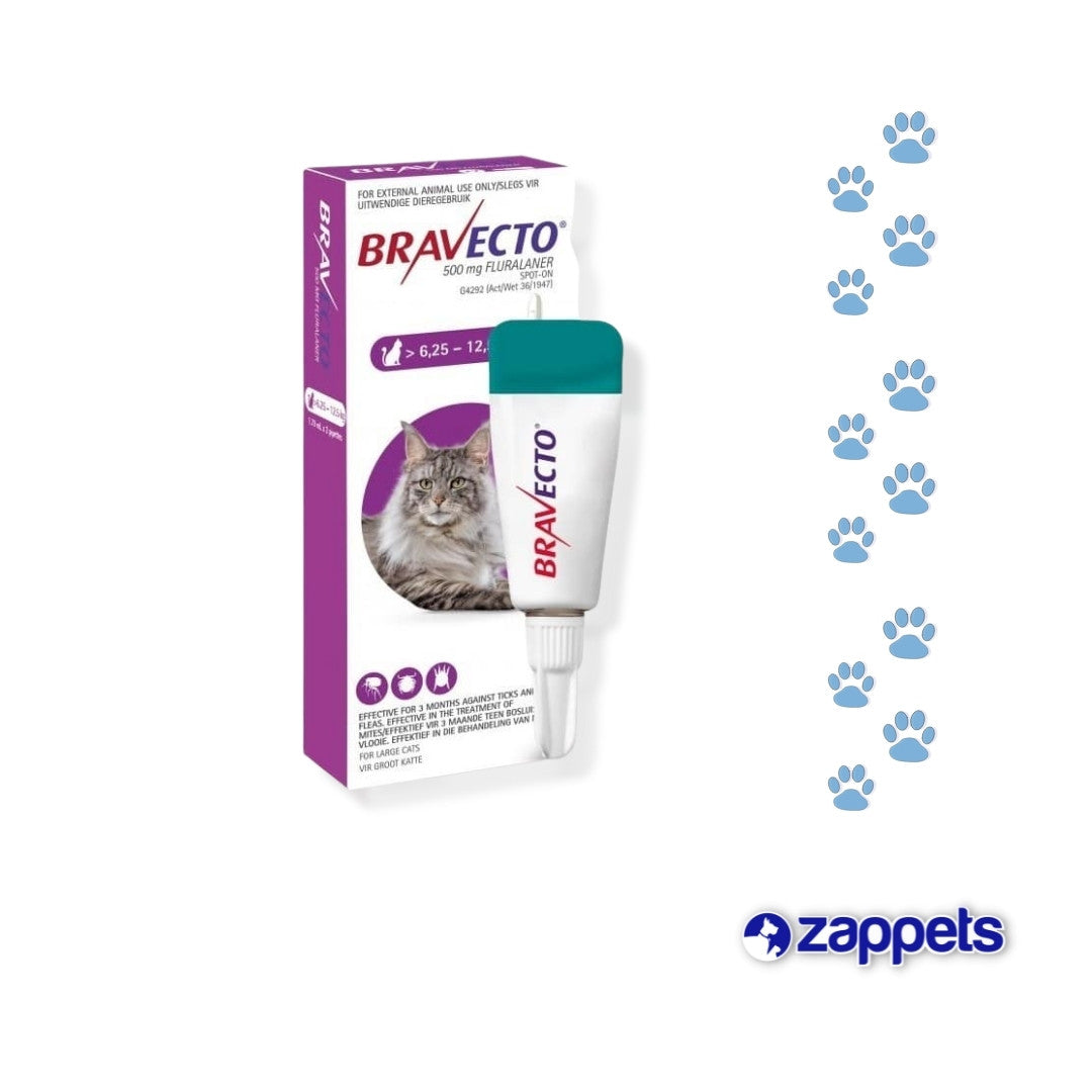 ANTIPULGAS PARA GATOS BRAVECTO CUT NEO 6 25 12 5Kg Zappets antipulgas-para-gatos-bravecto-cut-neo-6-25-12-5kg-zappets